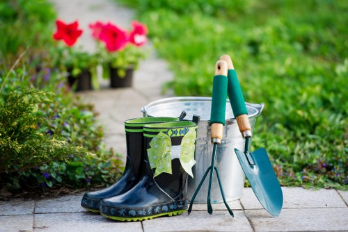 Lawn mowing team in Surbiton overview