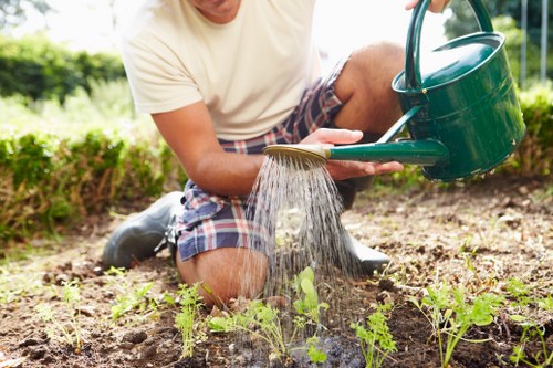 Secure payment interface for lawn mowing services