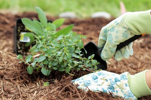 Surbiton gardener preparing sustainable lawn care with clippings ready for composting