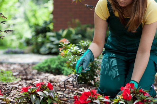 Operative preparing to return for remedial lawn work