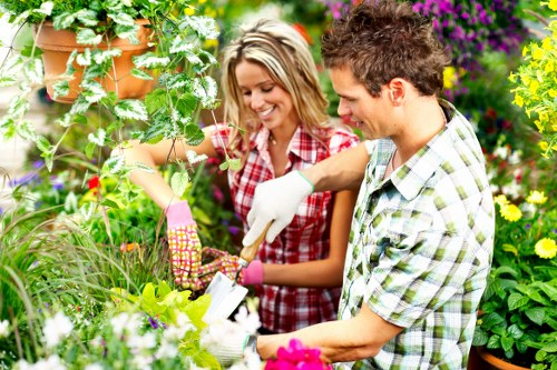 Insurance certificate and documents related to garden maintenance