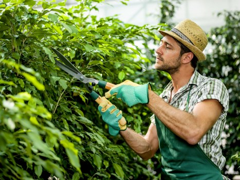 Workers wearing PPE while trimming grass in a residential garden