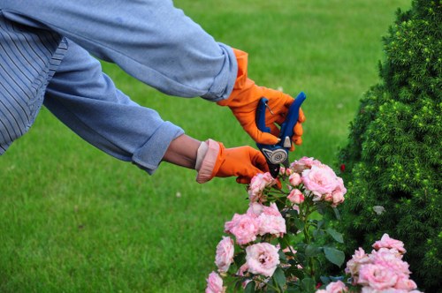 Garden clearance team removing overgrown vegetation in suburban garden