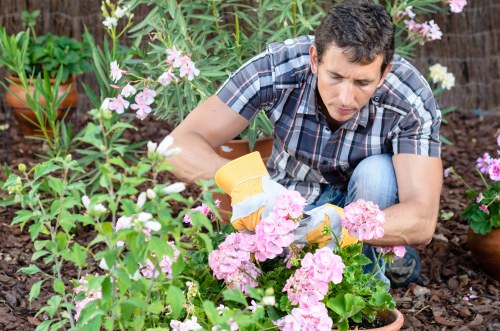 Supplier audit documentation