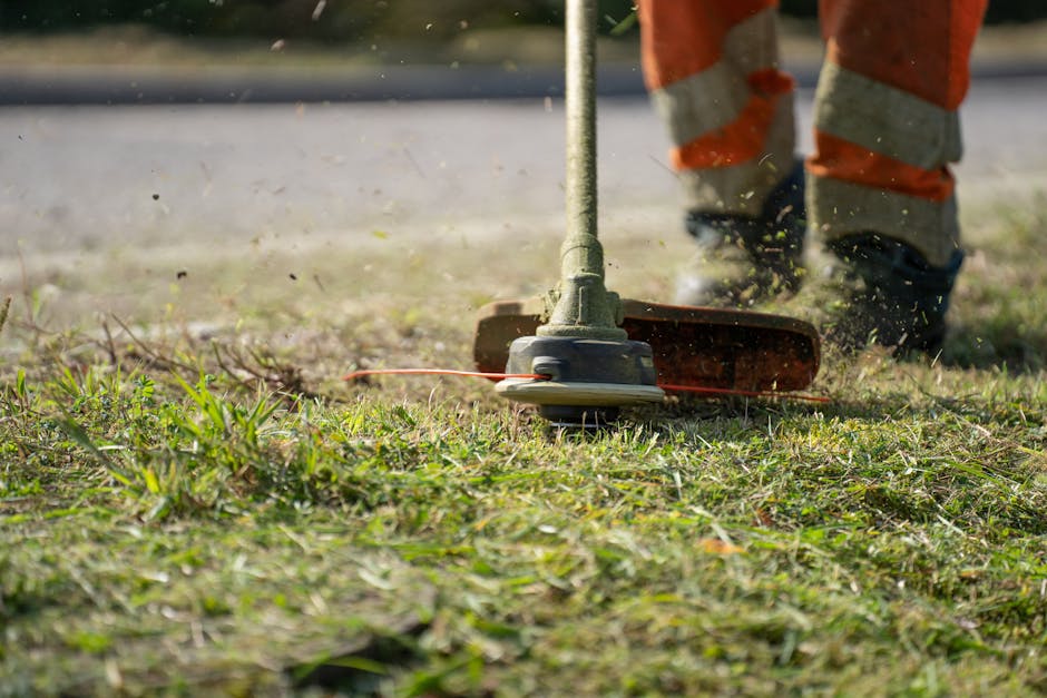 A close-up view of a petrol-powered lawn mower with a blue cover and large black wheels, positioned on a lush, green grass lawn. The mowerâ€™s cutting deck is slightly raised, revealing blades underne